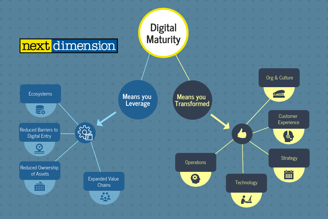 digital-maturity-snapshot